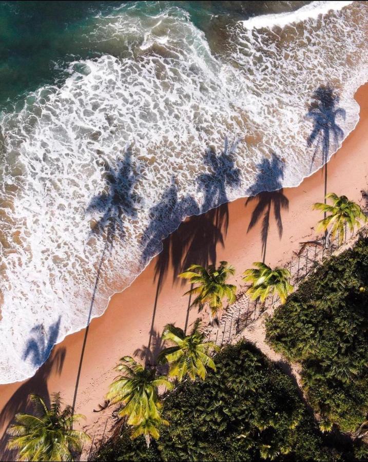 Numar Tubarao Pousada - Barra Grande バーラ・グランデ エクステリア 写真