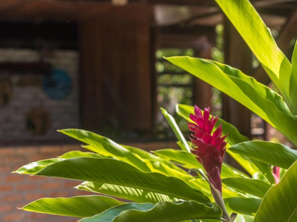 Numar Tubarao Pousada - Barra Grande バーラ・グランデ エクステリア 写真